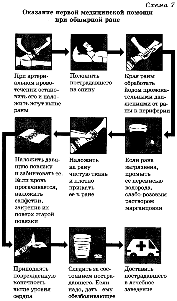 Практическое задание по теме Инфицированная рана верхней конечности